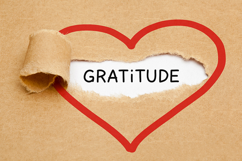 You are currently viewing 5 Easy Ways to Practice Gratitude Every Day