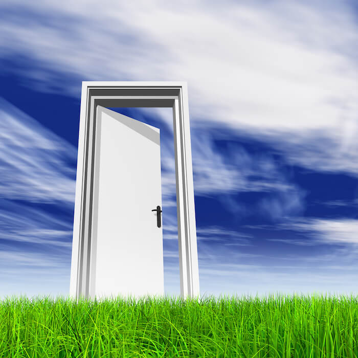Door opening in the middle of a green grassy plain with a deep blue sky with steaks of clouds behind it